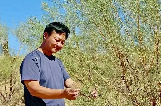 刘宏义查看梭梭树。（来源：阿拉善左旗融媒体中心）