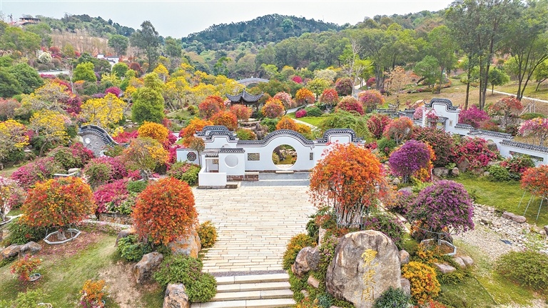 马岭观花植物园（摄影：李波）